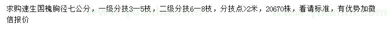 求購(gòu)胸徑7公分速生國(guó)槐