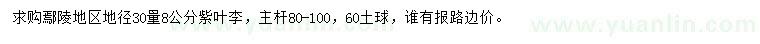 求購地徑30量8公分紫葉李