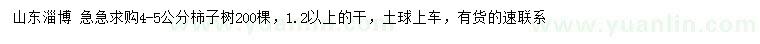 求購4-5公分柿子樹