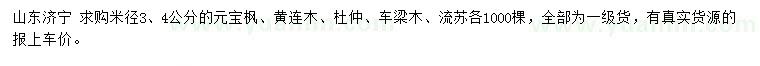 求購元寶楓、黃連木、杜仲等