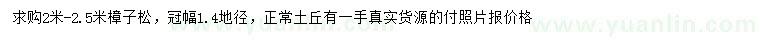 求購2-2.5米樟子松