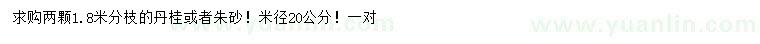 求購米徑20公分丹桂或者朱砂
