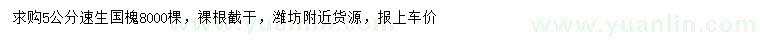 求購5公分速生國槐