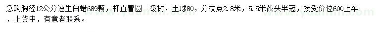 求購胸徑12公分速生白蠟