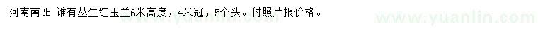 求購(gòu)高度6米叢生紅玉蘭