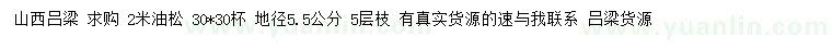 求購(gòu)地徑5.5公分油松