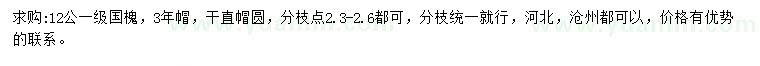 求購12公分國槐