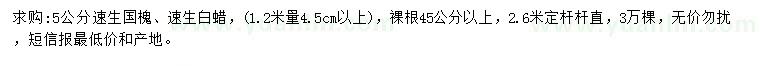 求購(gòu)5公分速生國(guó)槐、速生白蠟