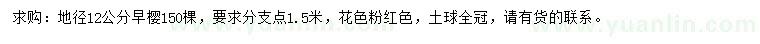 求購地徑12公分早櫻