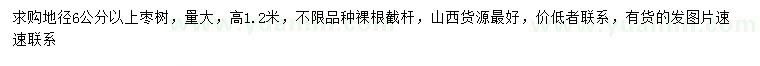 求購地徑6公分以上棗樹