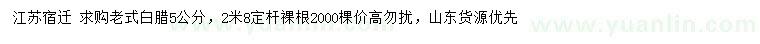 求購5公分老式白臘