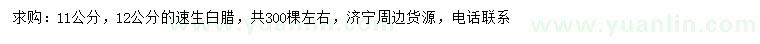 求購11、12公分速生白臘