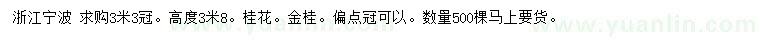 求購高度3.8米金桂