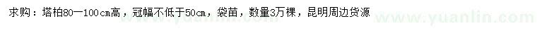 求購高100公分塔柏
