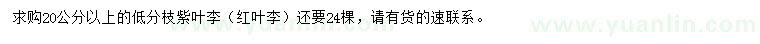 求購(gòu)20公分以上紫葉李