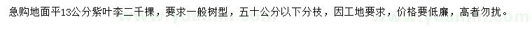 求購13公分紫葉李