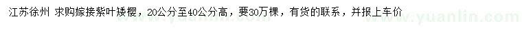 求購(gòu)高20-40公分嫁接紫葉矮櫻