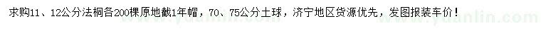 求購(gòu)11、12公分法桐