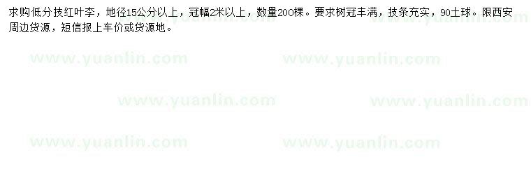 求購(gòu)地徑15公分以上紅葉李