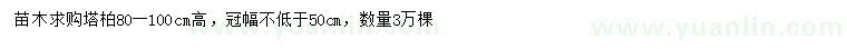 求購(gòu)高80-100公分塔柏