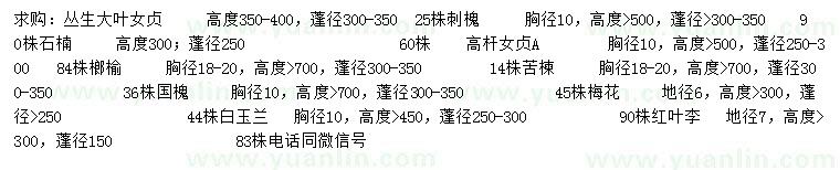 求購叢生大葉女貞、刺槐、石楠等