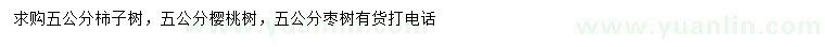 求購柿子樹、櫻桃樹、棗樹