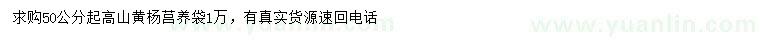 求購50公分起高山黃楊