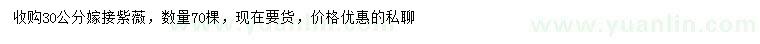 求購30公分嫁接紫薇