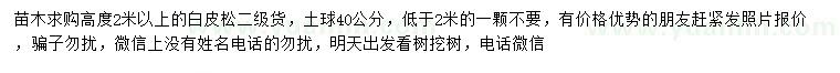 求購(gòu)高度2米以上白皮松