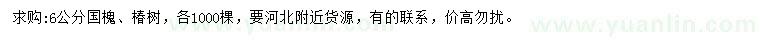 求購6公分國槐、椿樹