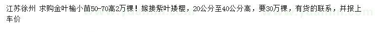 求購(gòu)高50-70公分金葉榆小苗、20-40公分嫁接紫葉矮櫻