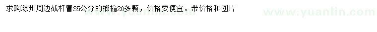 求購(gòu)35公分榔榆