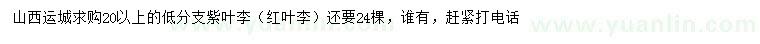 求購20公分以上紫葉李（紅葉李）