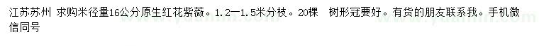 求購米徑量16公分原生紅花紫薇
