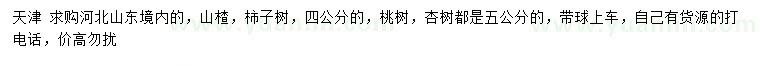 求購(gòu)山楂、柿子樹、桃樹等
