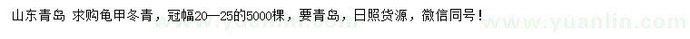 求購(gòu)冠幅20-25公分龜甲冬青