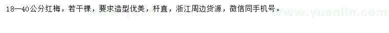 求購18--40公分紅梅