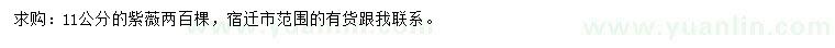 求購11公分紫薇