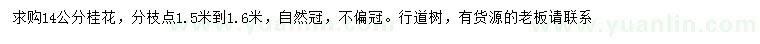 求購14公分桂花