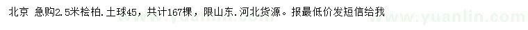 求購2.5米檜柏