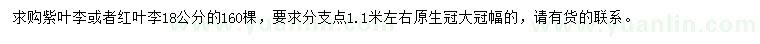 求購(gòu)18公分紫葉李或者紅葉李