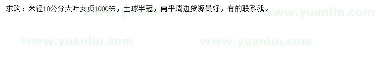 求購米徑10公分大葉女貞