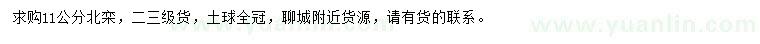 求購11公分北欒