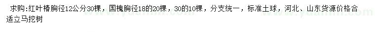 求購胸徑12公分紅葉椿胸、18公分國槐