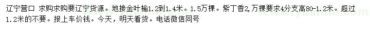 求購1.2-1.4米地接金葉榆