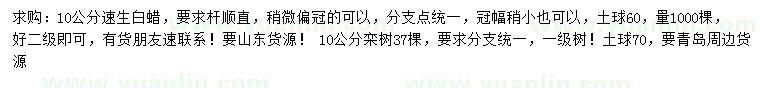 求購10公分速生白蠟、欒樹