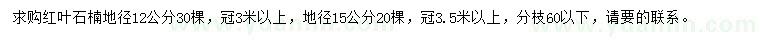 求購地徑12、15公分紅葉石楠