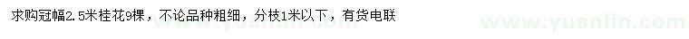 求購(gòu)冠幅2.5米桂花