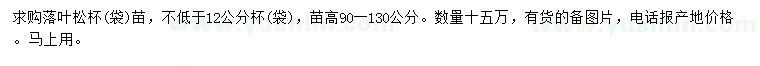 求購高90-130公分落葉松