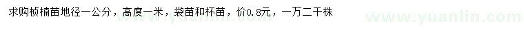 求購地徑1公分楨楠苗